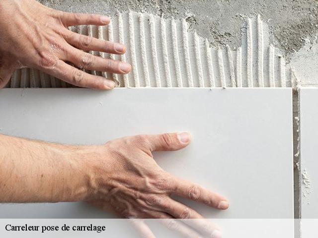 Carreleur pose de carrelage  62340